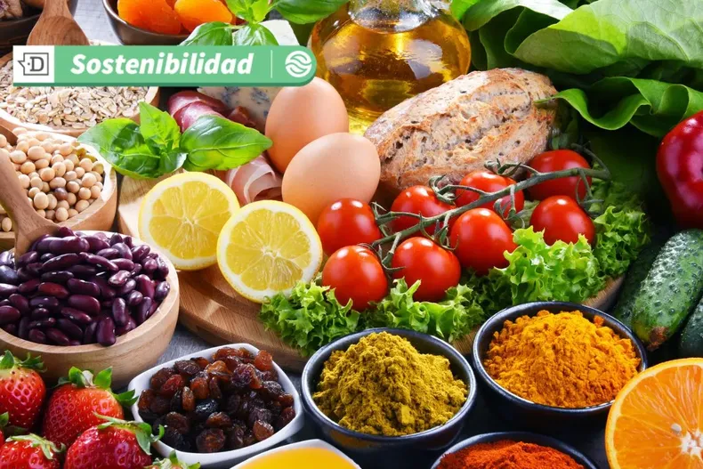 19254 diseno sin titulo 2025 07 17t103414.webp