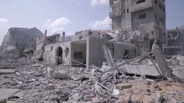 Trabajadores de la ONU piden al organismo que califique de genocidio la guerra en Gaza