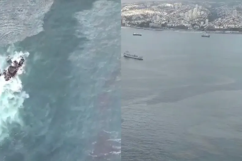 19032 diseno sin titulo 83 1.webp