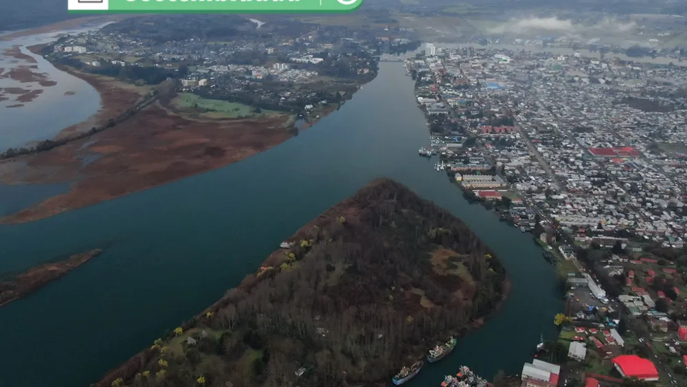 Valdivia celebra distinción a nivel mundial: Obtendrá acreditación oficial de “Ciudad Humedal” en COP 15 Ramsar