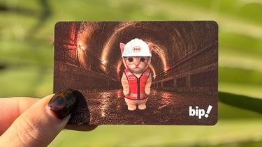 Esta es la Michi Bip! - Imagen: Metro de Santiago