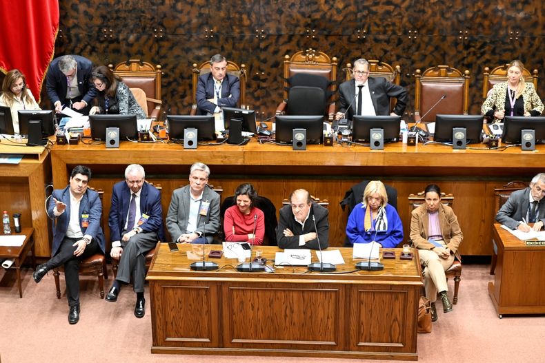 17113 senadomarzo2025.jpg