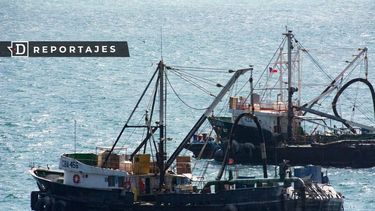 Copy-paste en la Ley de Pesca: castigo a la pesca artesanal e impunidad a la gran industria