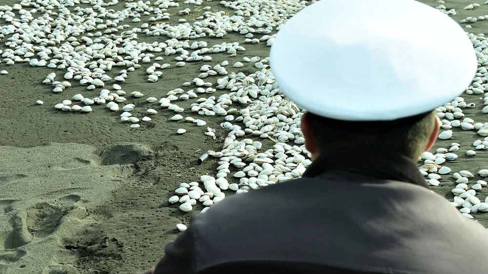 Marea roja en Tongoy: Autoridades alertan por posible daño neurológico y solicitan presencia de Comisión de Pesca