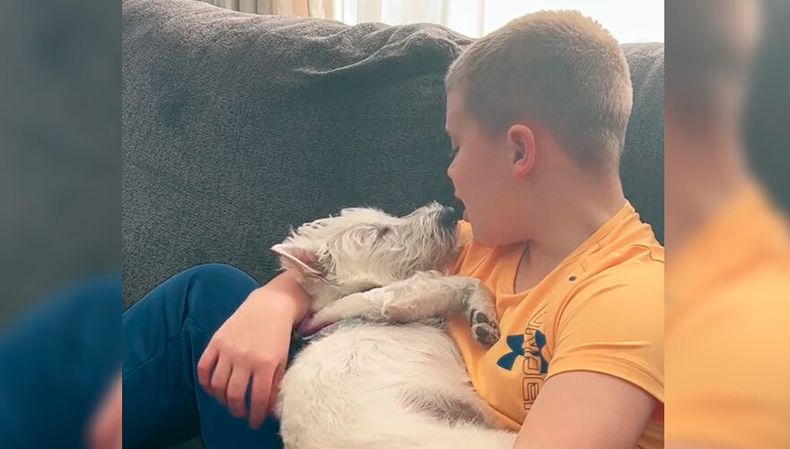 01 101933_nfu4_nino coldplay perro 880x500 1.jpg