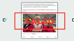 Un video de Evelyn Matthei en una frutícola fue ralentizado para parecer que fue hecho con IA