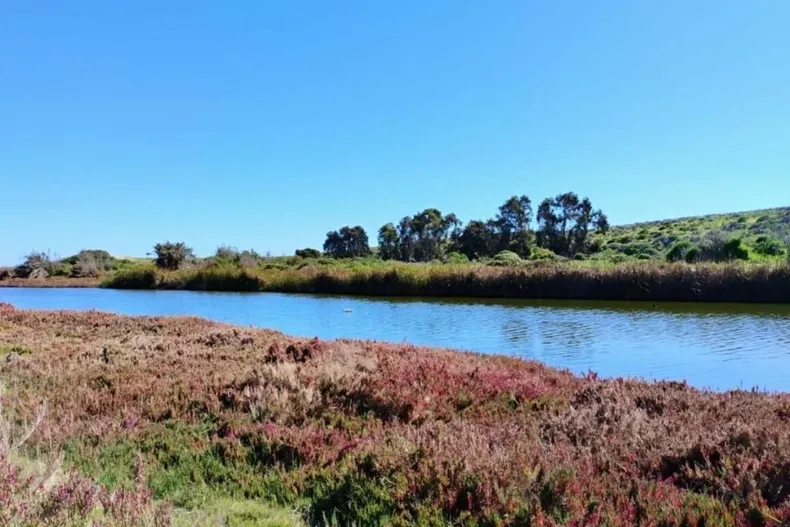 29786 diseno sin titulo 88.webp