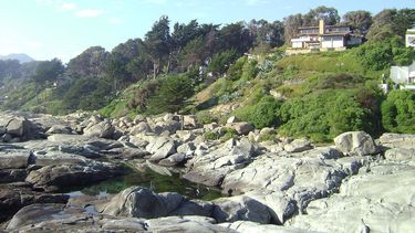 El Desconcierto | Cachagua_Zapallar_Region_de_Valparaiso_Chile_ _panoramio_2.jpg