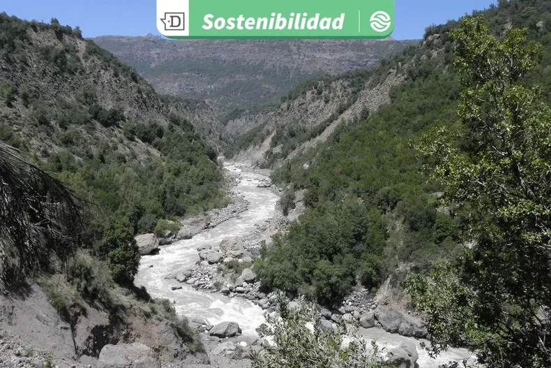 30872 diseno sin titulo 2026 03 06t122308.webp