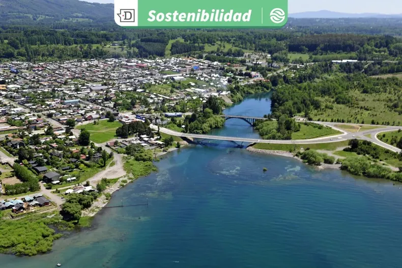 24683 diseno sin titulo 2025 10 24t101447.webp