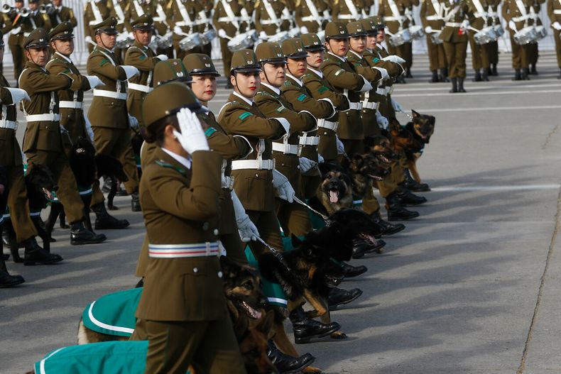 A_UNO_1111797.jpg