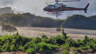 El Desconcierto | Incendio forestal El Trapiche @DDPTalagante.jpeg