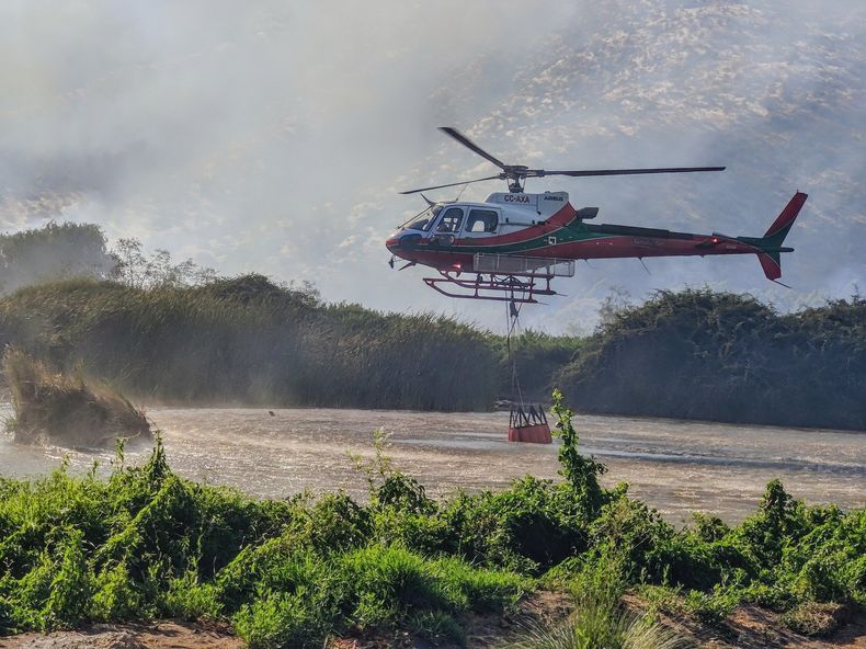 Incendio forestal El Trapiche @DDPTalagante.jpeg