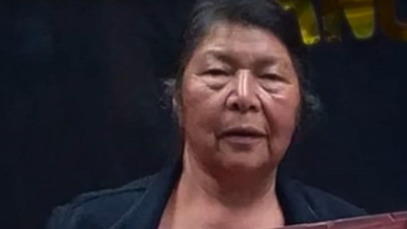 Extraña desaparición de ambientalista mapuche: Habría sido amenazada por empresario local