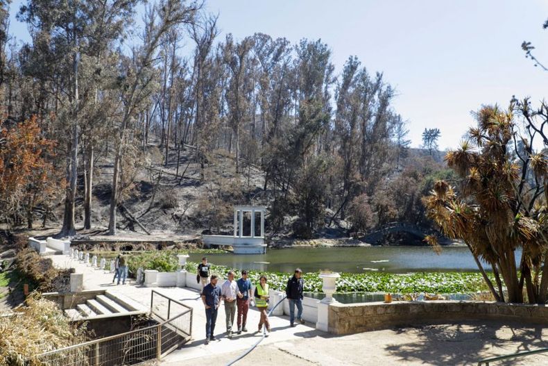 Jardin Botanico de Vina del Mar e1710810904297.jpeg