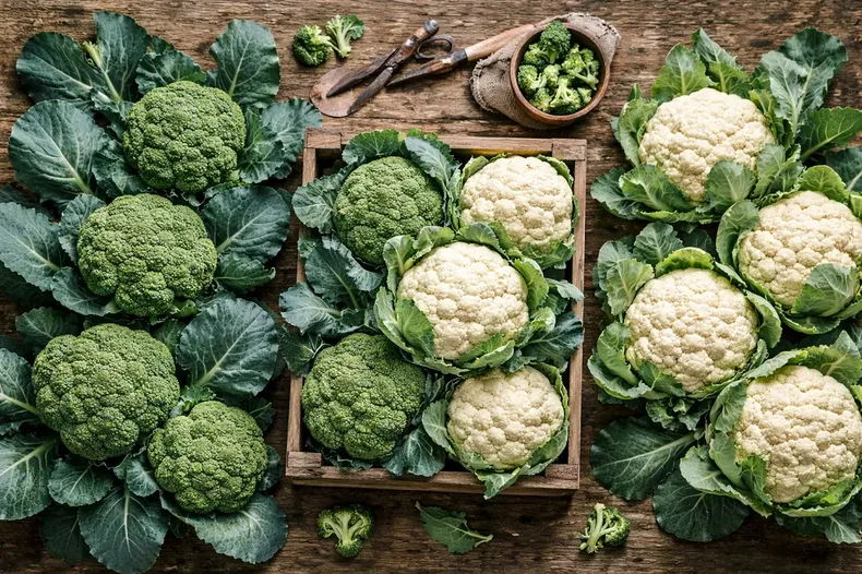 28906 brocoli.webp