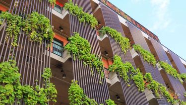 Nueva herramienta gratuita medirá la huella de carbono en la construcción y abordará la contaminación Nueva herramienta gratuita medirá la huella de carbono en la construcción y abordará la contaminación