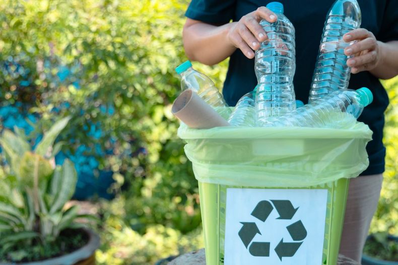 Diseño sin título - 2026-04-14T111648.686