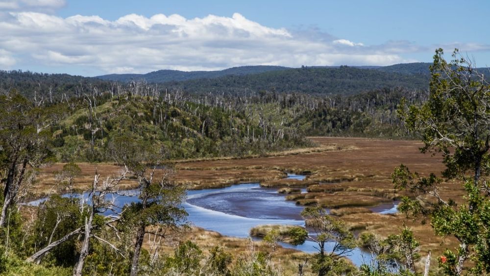 Los Lagos: Firman Decreto que crea Santuarios de la Naturaleza Humedales del Río Maullín y Humedales del Río Chepu