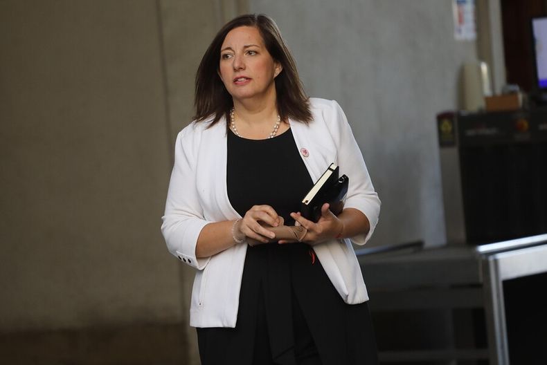 Senadora Paulina Vodanovic .jpg