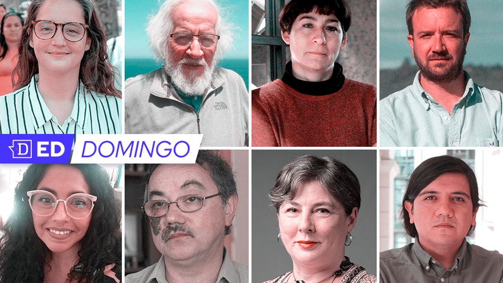 Día decisivo: Ocho historiadores examinan claves del Plebiscito por la nueva Constitución