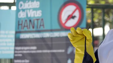 ¿Te vas a acampar este verano? Recuerda seguir todas las indicaciones para cuidarte del Virus Hanta