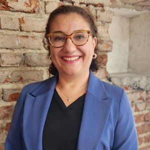 El Desconcierto | Arife Mansur Acevedo