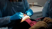 la carrera por regenerar dientes: entre el entusiasmo y la evidencia la carrera por regenerar dientes: entre el entusiasmo y la evidencia