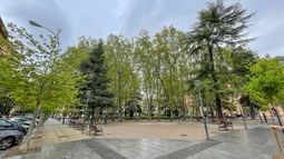 Ocho beneficios de la vegetación para la vida urbana