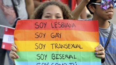 El Desconcierto | homo.jpg_1718483347.jpg