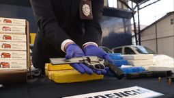 Operativo desarticuló nueva banda criminal: Incautan cerca de media tonelada de droga
