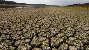 Día del sobregiro ecológico 2025: ¿Qué significa que la humanidad haya agotado los recursos naturales?