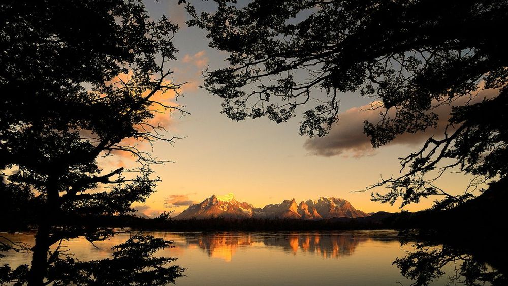 Imagen sobre la ecología, perspectiva desde un bosque de las Torres del Paine / Agencia Uno