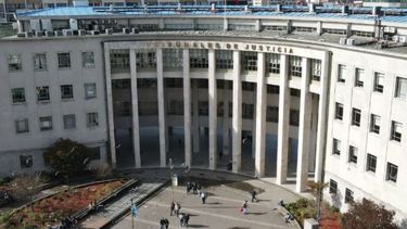 Corte de Apelaciones ordenó intervenir árbol que afectaba vivienda de adulto mayor / Poder Judicial