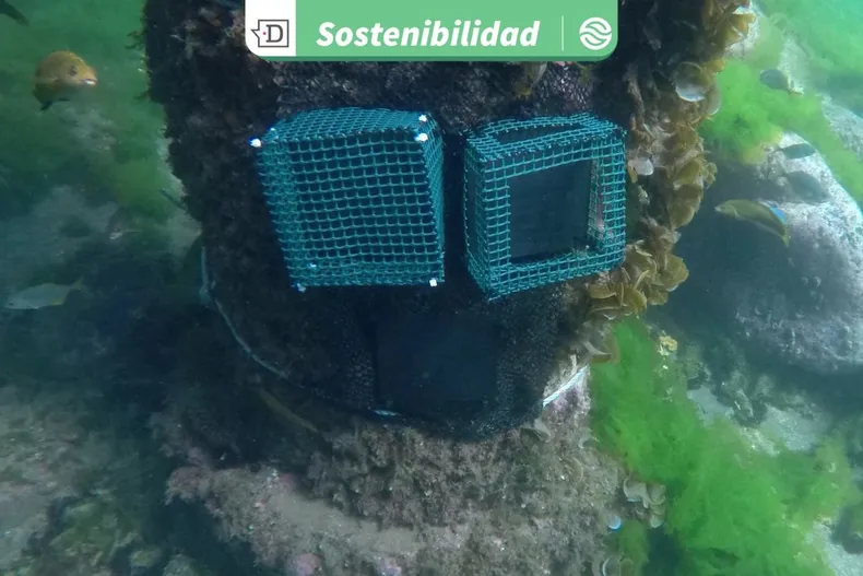 28644 diseno sin titulo 2026 01 13t110024.webp