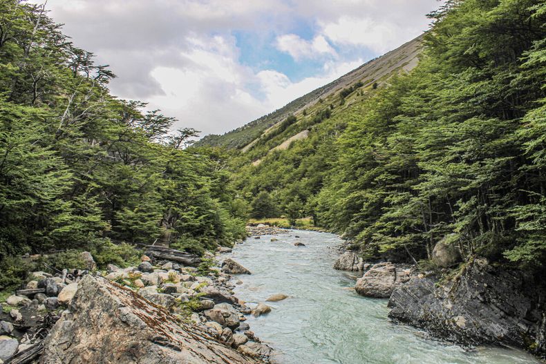 Proteger la biodiversidad y los ecosistemas es clave para combatir la crisis climática - Agencia Uno&nbsp;