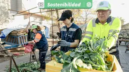 El proyecto que ha convertido 30 toneladas de residuos orgánicos de ferias libres en alimento y compostaje