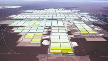 Estocada al SII reabre debate: Fallo libera a SQM de pagar US$ 41 millones en impuesto minero