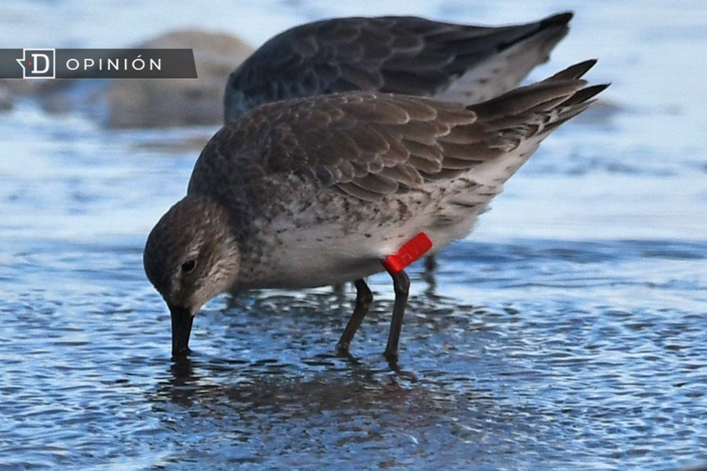 Diseno sin titulo 2023 05 31T112543.901.png