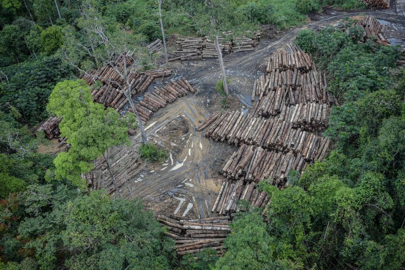 Deforestacion Amazonia Brasilena 3 1536x1024 1.jpg