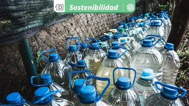 El desconcierto | 30096 diseno sin titulo 2026 02 16t162415.webp