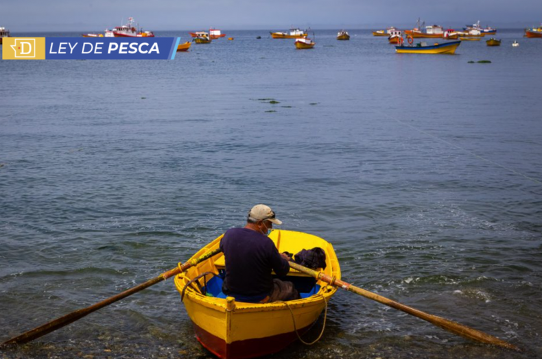 ley de pesca e1709828808324.png