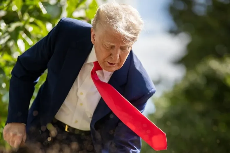 14857 trumpimpopular.webp