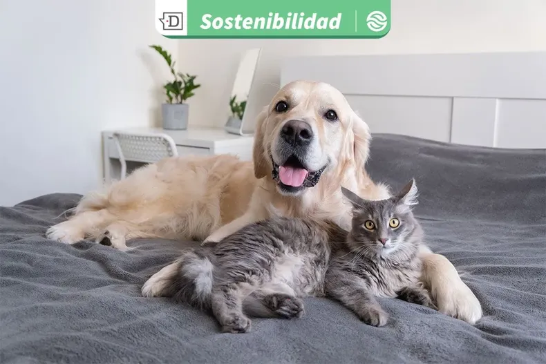 25320 diseno sin titulo 2025 11 05t163107.webp