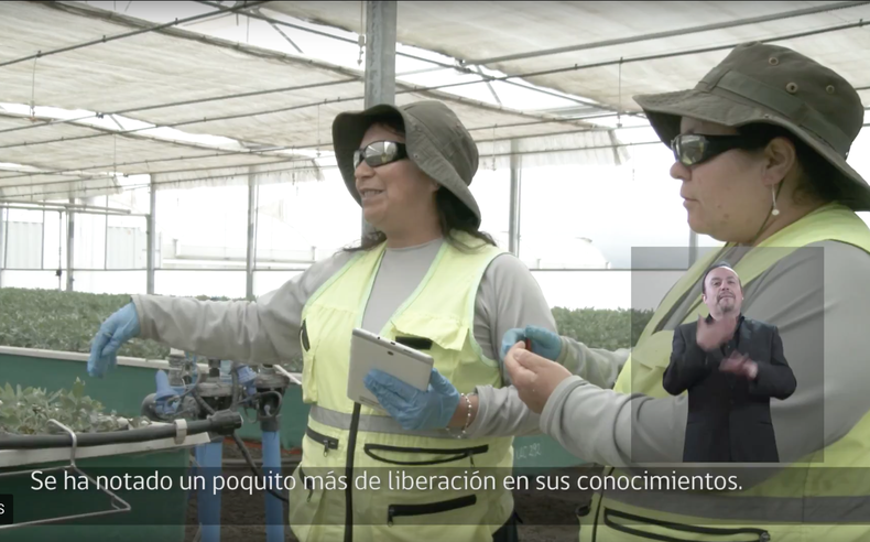 Captura de pantalla 2017 11 28 a las 5.08.07 p.m..png