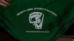 Gobierno argentino propone permitir el aborto hasta la semana 14 de gestación