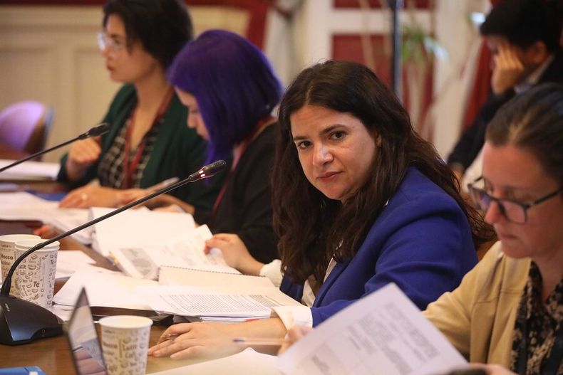 Ministra Antonia Orellana en la tramitacion de la ley por una vida libre de violencia.jpg
