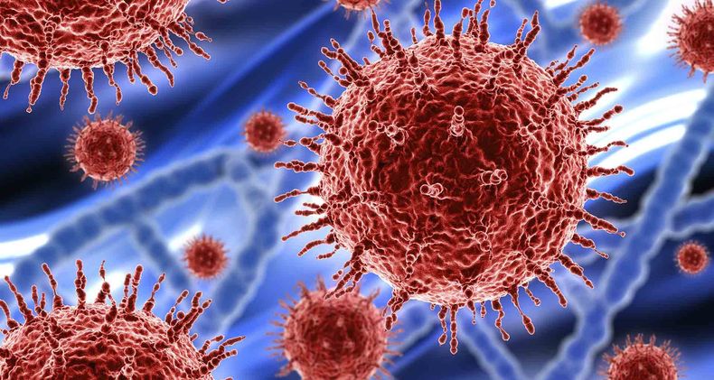 coronavirus de wuhan_0.jpg