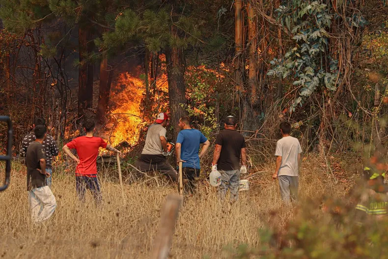 25716 a uno 1649842.webp