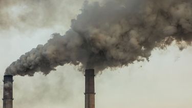 Apple, Microsoft e IKEA lideran la baja global de gases de efecto invernadero, mientras en Chile Enel, Codelco y Arauco disminuyen su huella de carbono.